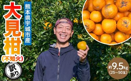 先行予約 熊本大見柑 (不知火) 訳あり 9.5kg (25～50玉) 【2027年2月上旬から2月下旬発送予定】