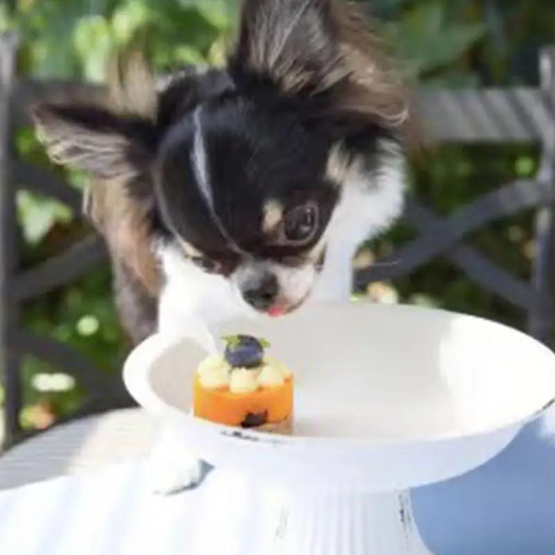 ペットフード(犬のおやつ)　小型犬用鹿肉のタルトケーキ風セット【ペットフード ペット 動物 犬 餌 エサ 小型犬 愛犬 愛犬家 愛犬用 スイーツ タルト おやつ 犬用 ペット用 ご褒美 福岡県 筑前町