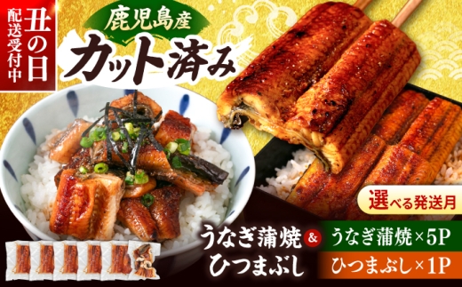 鹿児島産 うなぎ 蒲焼 カット と ひつまぶし 贅沢 セット ▼個包装 タレ付き 刻みうなぎ きざみ  国産 うなぎ 鰻 ウナギ 蒲焼 九州 福岡 桂川町/山水商事 [ADAH025]