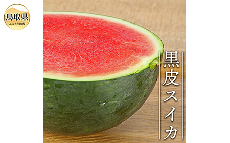 黒皮種無しスイカ　（1玉5kg以上）【期間･数量限定】_T2600189