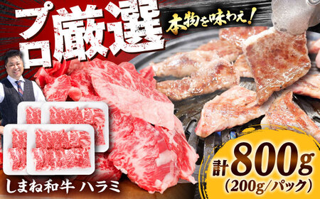 ハラミ しまね和牛ハラミ800g [AIEF008]