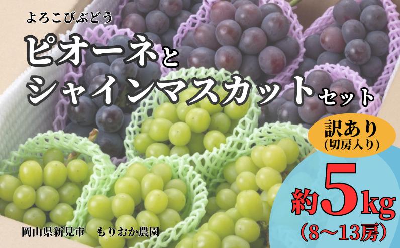 
            もりおか農園のよろこびぶどう ピオーネとシャインマスカットの詰め合わせ 約5kg 8～13房(切房込み) 訳あり【先行予約 2025年10月上旬から順次発送】
          