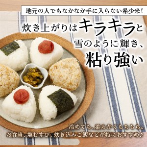 令和5年産 美富士の夢来 厳選極上米ゴールド5kg 富士吉田市産