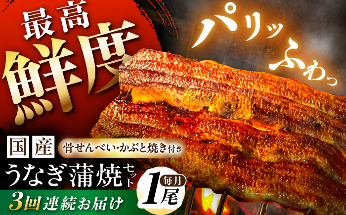 
            【3回定期便】【備長炭】 国産 うなぎの蒲焼 1尾セット 鰻 ウナギ タレ付き 白川町 / 多幸八 [AWBL007]
          