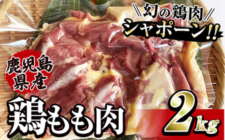 2920 唯一の国産 幻の鶏肉 シャポーン鹿児島鶏もも肉2kg KN048-004 鶏もも 鶏肉 鶏 鳥肉 モモ もも肉 唐揚げ チキン南蛮 シャポーン鶏 さつま金剛 ふるさと納税 鹿児島 鹿屋市 おすすめ ランキング プレゼント ギフト