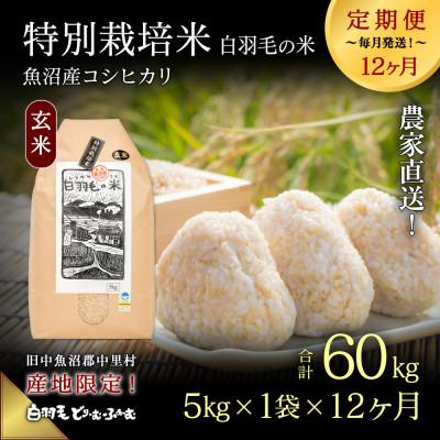ふるさと納税 十日町市 【毎月定期便】農家直送!魚沼産コシヒカリ特別栽培 玄米(5kg×1袋)全12回
