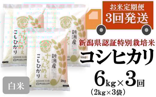 【先行予約・令和7年産新米・3ヶ月定期便】コシヒカリ 白米 6kg（2kg×3袋）×3回（計 18kg）ヤタらうんめぇ お米 新潟県産 小分け 水田環境鑑定士在籍[Y0204]