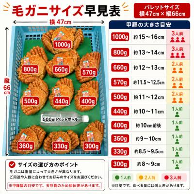 ふるさと納税 白老町 k0803【浜ゆで自社タグ付】北海道産ボイル毛ガニ 480g〜520g前後×4尾 |  | 01