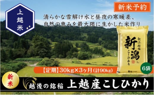 令和7年産 先行予約 新潟県上越産こしひかり 精米 30kg 3か月定期便 上越市 米 コメ コシヒカリ