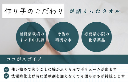 （今治タオルブランド認定）今治生まれの白いタオル フェイスタオル １枚 白 ホワイト 今治タオル[IA05020]