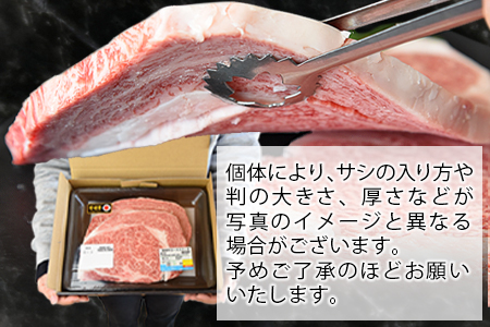 【畜産農家応援】＜宮崎牛 ロースステーキ 2枚 合計500g＞入金確認後、1か月程度で出荷【牛肉 黒毛和牛 ブランド牛 4等級以上 高級 国産 お取り寄せグルメ お祝い 特産品 ミヤチク 宮崎県 国富