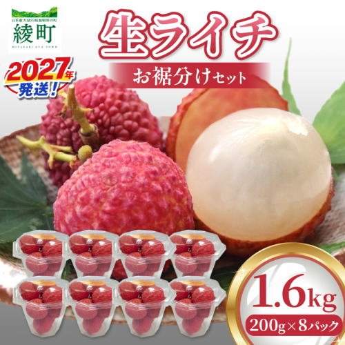 先行予約 数量限定 希少 綾生ライチ お裾分け セット 1.6kg 果物 フルーツ くだもの 国産ライチ 2027年 トロピカルフルーツ 南国フルーツ 冷蔵 ジューシー 高級 デザート ギフト 贈り物 プレゼント ご褒美 おすすめ 宮崎県 送料無料 【JA綾町】_A0114-2671