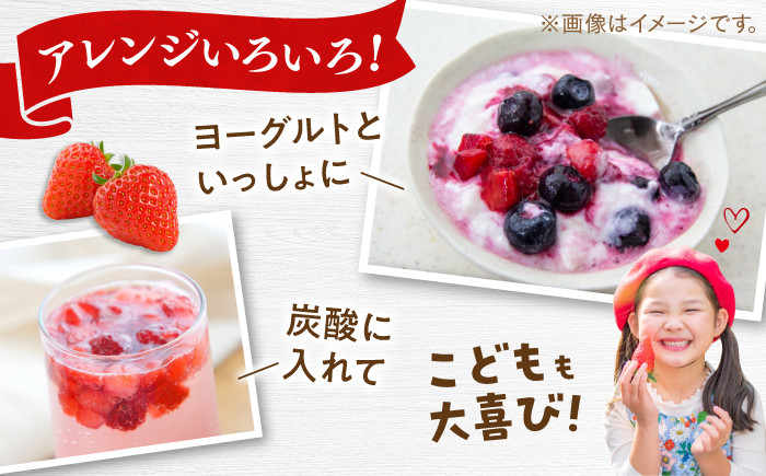 訳あり品 冷凍いちご「博多あまおう」1kg（加工用）  