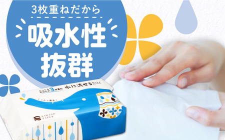 【2回定期便(3ヵ月に1回お届け)】 水に流せる 3枚重ね ティッシュ ソフトパック 30パック (1パック:100組(300枚)入り) 【河野製紙株式会社】[ATAJ020]