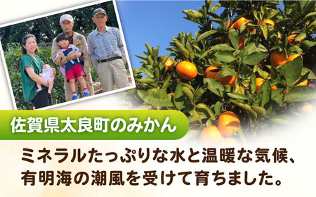 【2026年10月下旬以降発送】完熟 小玉太良みかん 計5kg（4.5kg＋傷み保証分500g） / 佐賀県 / 山本農園 [41ATBT004]