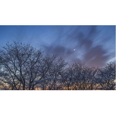 【ふるさと納税】天理の風景4『 PULSE OF TIME ～ 時の鼓動 ～ 』A4額装プリント【1714819】