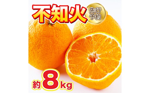 ＜ R8年熊本地震復興支援 ＞不知火 約8kg 18～20玉 【2027年2月下旬～4月上旬発送予定】