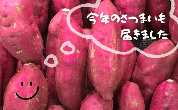 スイートポテト いも さつまいも サツマイモ シナモン 焼菓子 和菓子 ギフト 贈答 贈り物