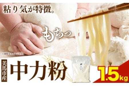 中力粉 1.5kg 麺 調味料