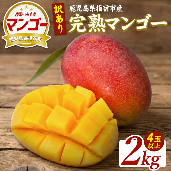 【ふるさと納税】＜先行予約受付中！2026年5月下旬以降順次発送＞【訳あり】鹿児島県指宿産 完熟マンゴー約2kg 訳あり ご家庭用 完熟 フルーツ 果物 果実 デザート スイーツ 南国【室屋植物園】