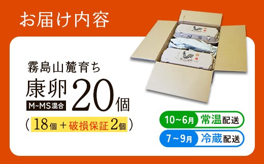 【ふるさと納税】霧島山麓育ち こだわり卵 康卵 たまご 玉子 生卵 鶏卵 20個入り 破損保証2個含む MS L 混合 宮崎県産