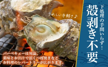 【期間限定】天然 さざえ ボイル済 26～30個入 2kg（500g × 4袋）産地直送でお届け！【越前町産 栄螺 サザエ 冷凍 小分け 海鮮 BBQ バーベキュー】 [e14-a011]