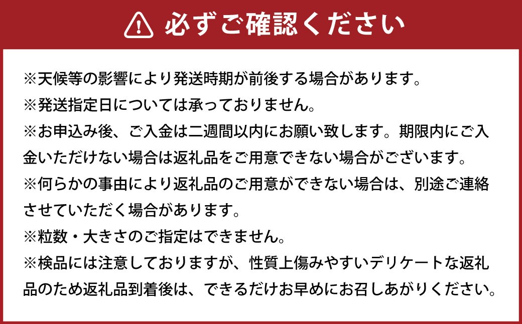 【2025年11月下旬迄発送】ミニトマト「北海道ルビー」約3kg バラ
