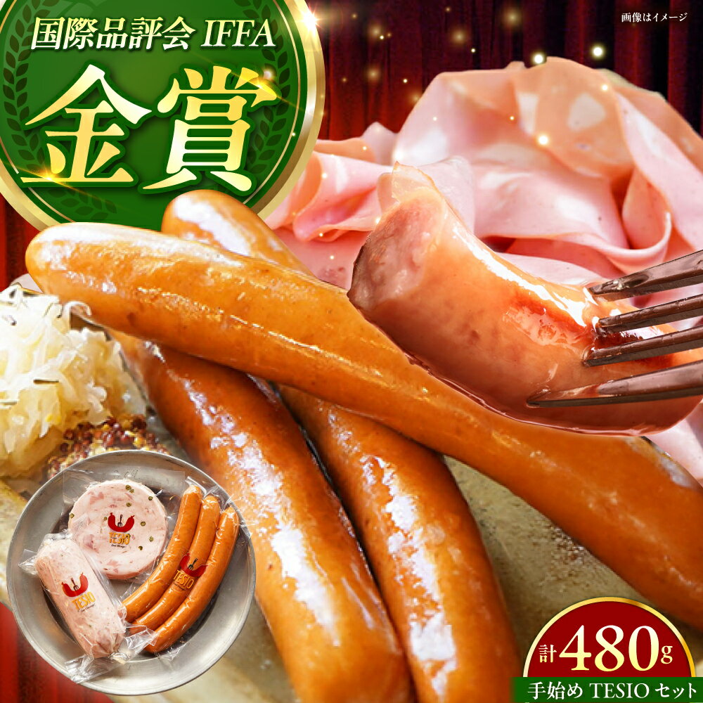 【ふるさと納税】TESIOの自家製ハム＆ソーセージ 『手始めTESIOセット』 豚肉 ハム ソーセージ 小分け 真空パック ハム お中元 ハム 詰め合わせ ギフト ハムギフト ハム ギフト お中元 夏ギフト ウインナー ソーセージ 詰め合わせ 沖縄市 / TESIO [BCAD001]