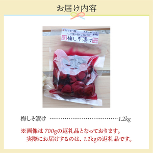 ＼先行予約！／ 西原ばあちゃんの手作り梅しそ漬け 梅しそ漬け 1.2kg 無添加 山梨県産 梅干し 手作り 人気 おすすめ うめぼし 紫蘇 しそ 国産 うめ ウメ ご飯 おにぎり 昔ながら やわらか 