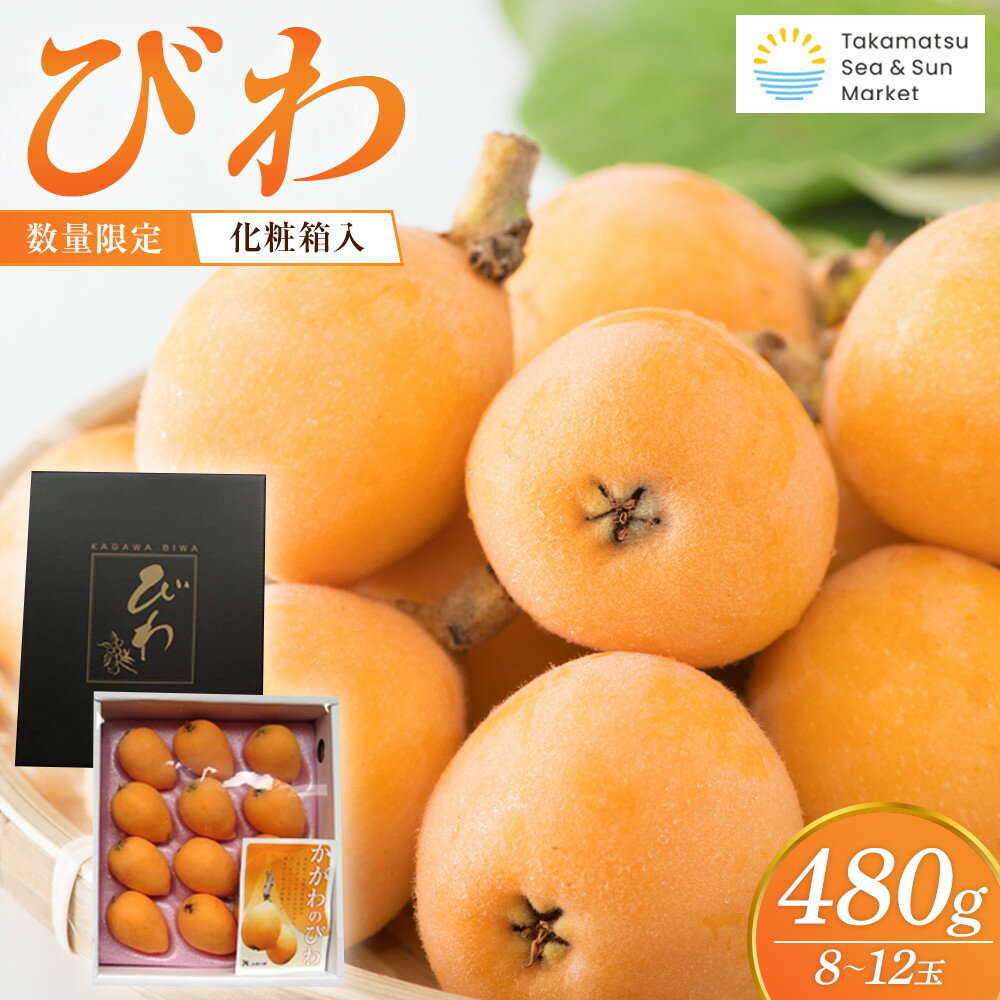 【ふるさと納税】『数量限定』びわ　480g化粧箱　8玉～12玉 | フルーツ 果物 くだもの 食品 人気 おすすめ 送料無料
