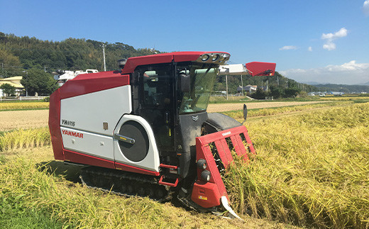 益城町 無洗米 ヒノヒカリ 10kg お米