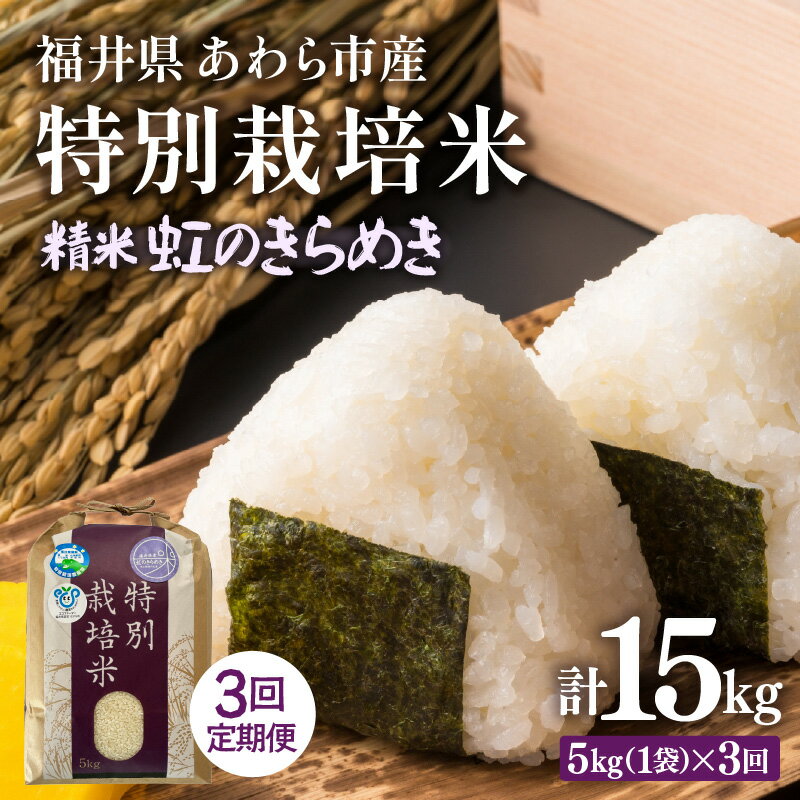 【ふるさと納税】【先行予約】【令和8年産】定期便 ≪3ヶ月連続お届け≫ 化学肥料不使用 特別栽培米 虹のきらめき 精米 5kg × 3回（計15kg） / 白米 米 福井県あわら市産 美味しい 特別栽培米 減農薬 安心な米 旨味 甘み もっちり 冷蔵保管米 ※2026年10月上旬以降発送予定