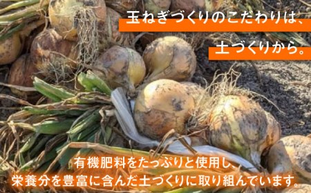 【先行予約 2027年5月～発送】小分け 玉ねぎ 約8kg / 玉ねぎ [IAO020]