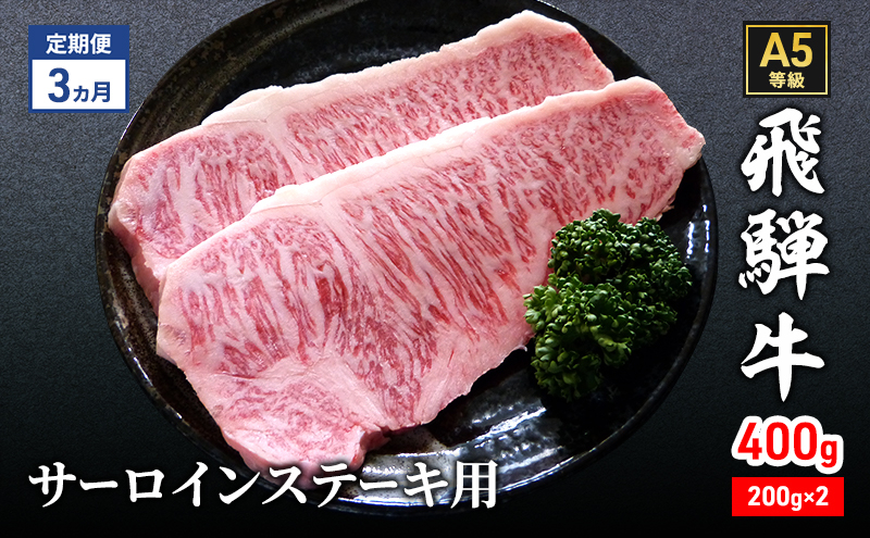 
【定期便3ヶ月】牛肉 飛騨牛 サーロイン ステーキ セット 400g（1枚 約200g×2枚） 黒毛和牛 A5 美味しい お肉 牛 肉 和牛 サーロインステーキ 【岐阜県瑞穂市】 [№5787-1027]
