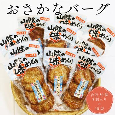 ふるさと納税 長門市 おさかなバーグ 3個入り×10袋 合計30個