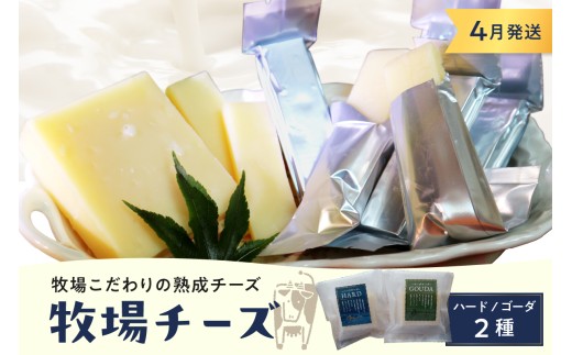 4月発送 北海道十勝芽室町 牧場チーズ２種類セット me020-005c-4
