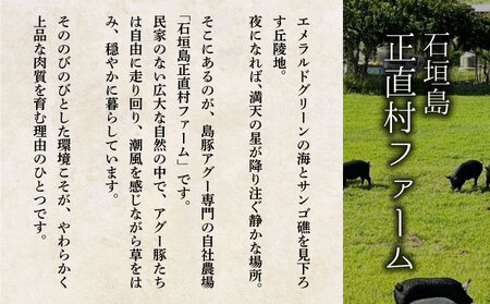 満天アグー 2種セット (ローストポーク 300g ウインナー 200g×2) | ふるさと納税 沖縄県 石垣市 石垣 沖縄 石垣島 ふるさと 人気 送料無料 アグー 豚 豚肉 ポーク