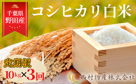 No.366 【3カ月連続定期便】野田産コシヒカリ白米10kg×3回 ／ 定期 こしひかり ご飯 ガツンと強いお米の香り 旨み 10㎏ 千葉県