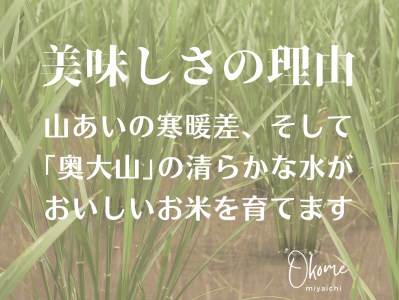 【令和7年産】コシヒカリ 5kg 特別栽培米 鳥取県江府町産 こしひかり 精米 産地直送 5ｷﾛ 0931