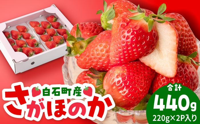 
            【R8年1月以降発送】白石産いちご「さがほのか」 220g×2パック 【岸川農園】 [IAP048]
          