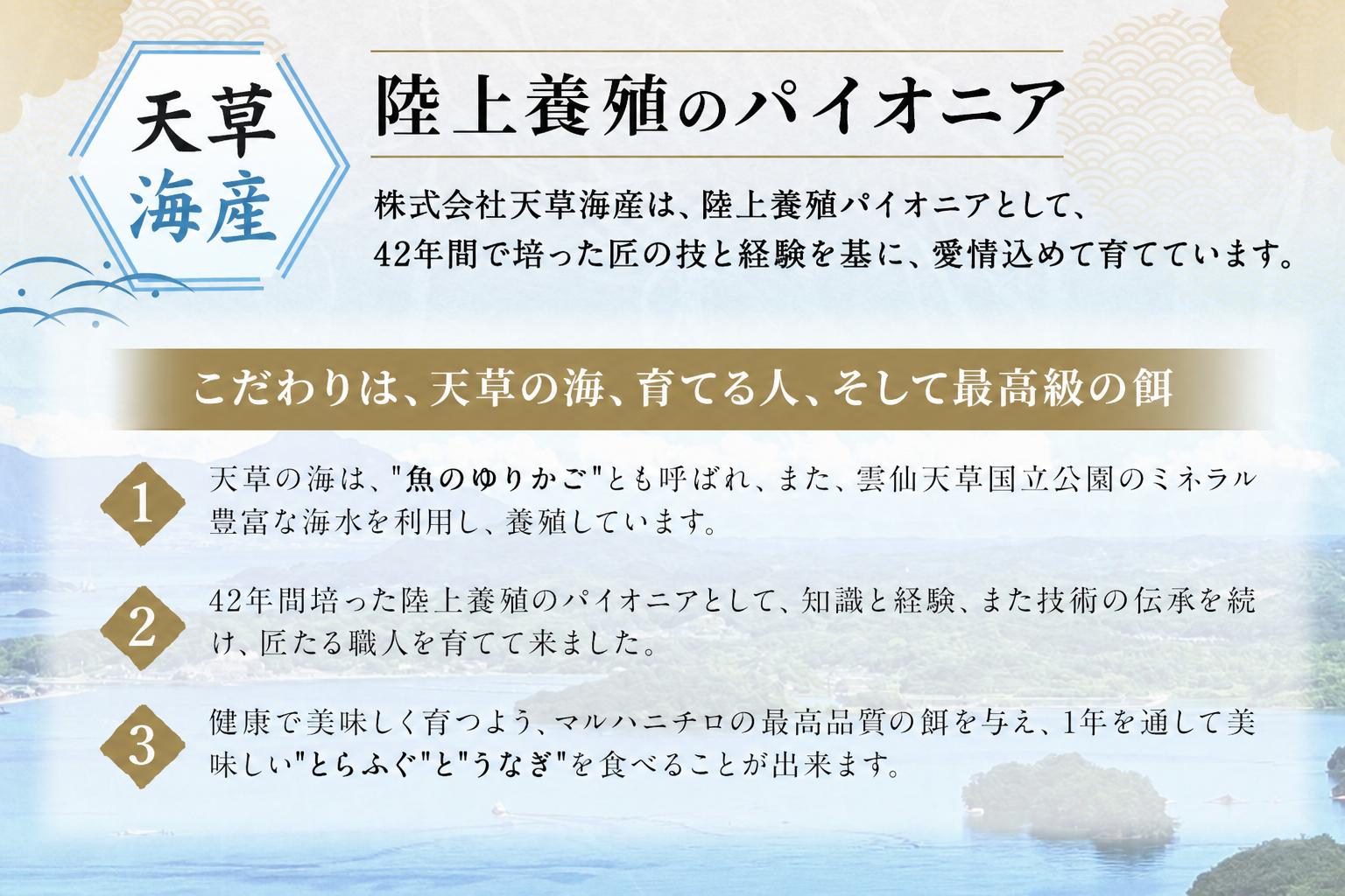 天草とらふぐてっちり+天草藍うなぎ