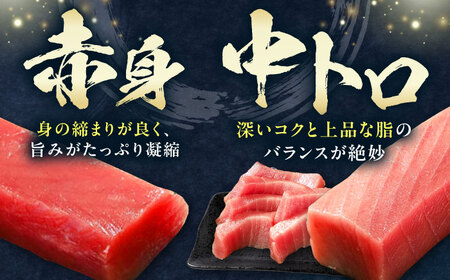 【全3回定期便】対馬産 本マグロ 3種 計450g（赤身/中トロ/ネギトロ）まぐろ トロ 刺身 [WAH012]