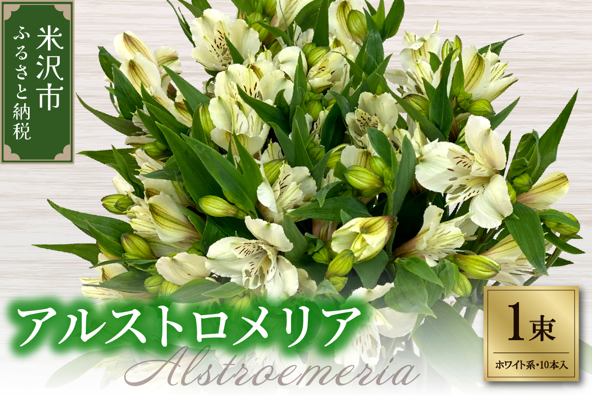 アルストロメリア ホワイト系 1束 10本入り 花 生花 切花 2026年4月～7月上旬頃 お届け予定 山形県 米沢市