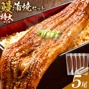 ＼特大サイズ／ 鹿児島県産 鰻蒲焼真空セット！5尾 タレ・山椒付！ 株式会社薩摩川内鰻 《30日以内に出荷予定(土日祝除く) 》 鹿児島県 さつま町 送料無料 ウナギ 丑の日 うなぎ 刻み グルメ 特大 鰻 蒲焼 真空