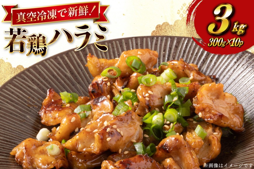 鶏肉 はらみ 宮崎県産 若鶏 ハラミ 300g 10p 計 3kg セット [TRINITY 宮崎県 日向市 452061343] 小分け 真空パック サガリ