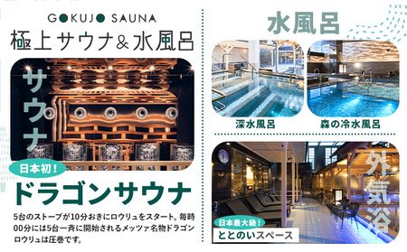 サウナ 天然温泉 スパメッツァおおたか 竜泉寺の湯 特別 ご入浴券 土日祝日も使用可能 10枚《30日以内に出荷予定(土日祝除く)》