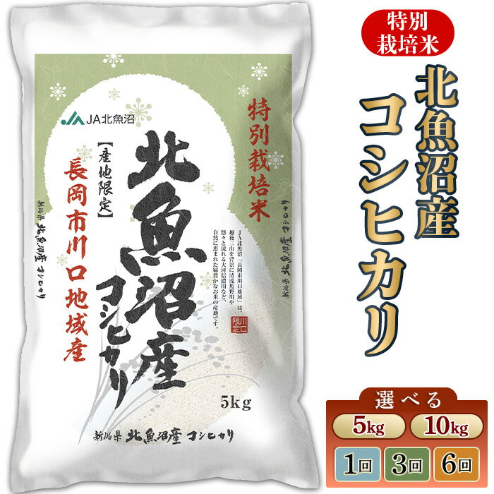 【ふるさと納税】令和7年産 新米予約 新米 米 定期便 5kg 10kg 魚沼 新潟 コシヒカリ 特別栽培米 選べる回数・発送時期 1回 3回 6回 3ヶ月 6ヶ月 10月 11月 12月 新潟こしひかり 精米 白米 お米 北魚沼産コシヒカリ特別栽培米（長岡川口地域）JA直送 （魚沼農業協同組合）
