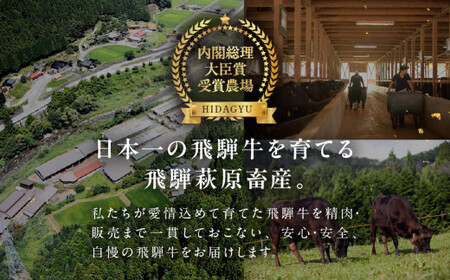 【定期便】飛騨牛一頭分食べつくし（最大 36回）総重量 約300kg 牛肉 ブランド牛 牛 一頭 定期 お肉 肉 肉贈 飛騨萩原畜産【22-C】