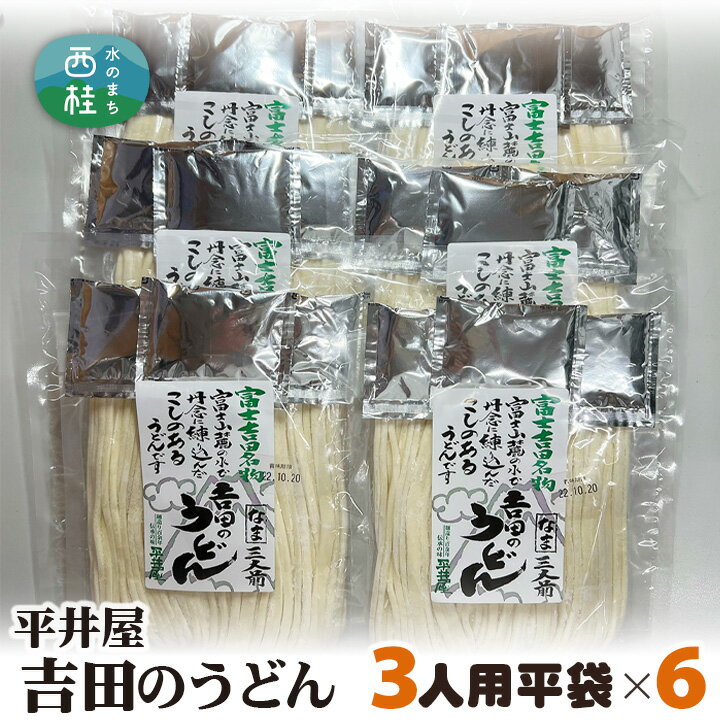 【ふるさと納税】 No.357 吉田のうどん3人前平袋×6パック（3人前×6パック） ／ セット 饂飩 乱切り麺 送料無料 山梨県 特産品