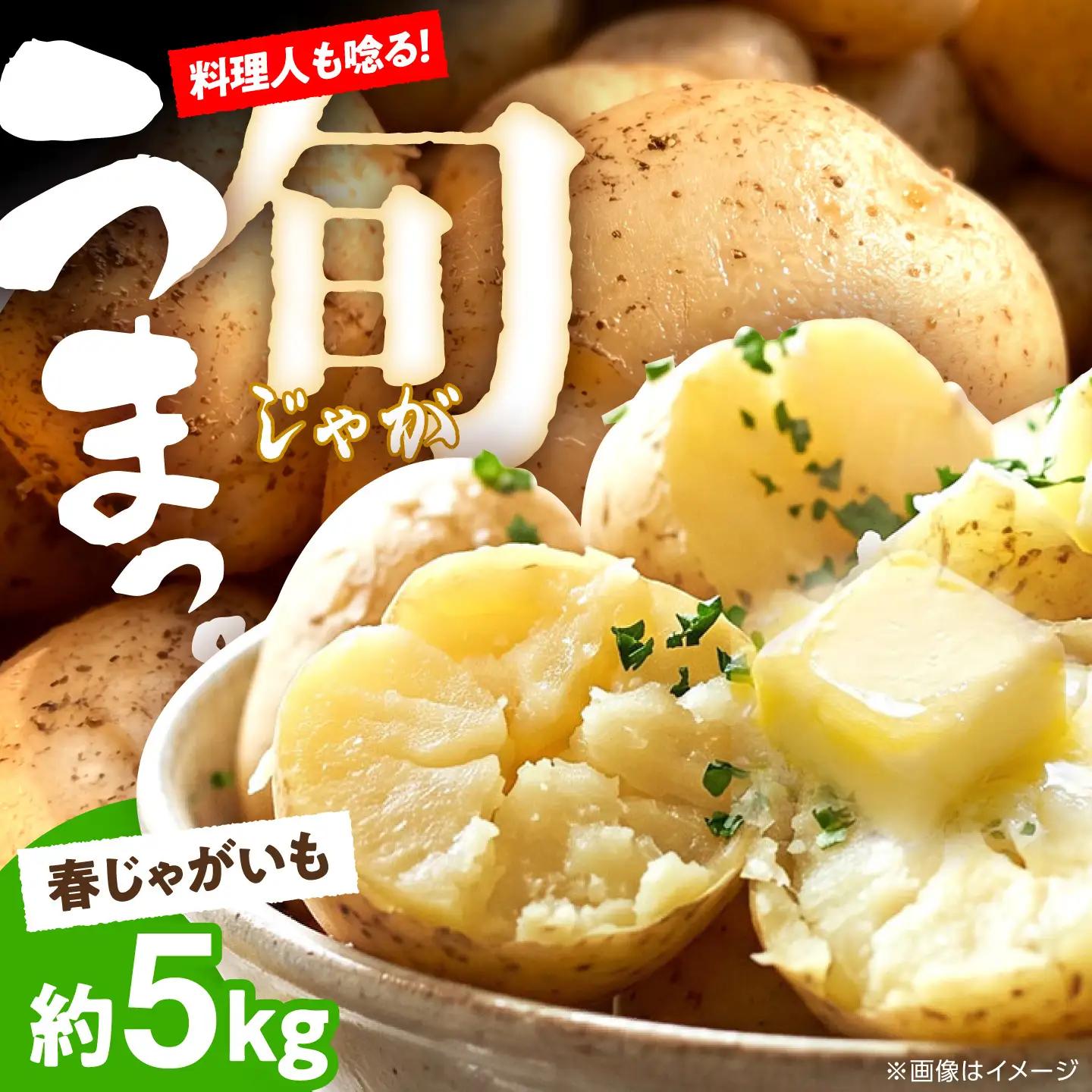 【2027年5月-発送】じゃがいも 約5kg 春じゃがいも[SGU001]
